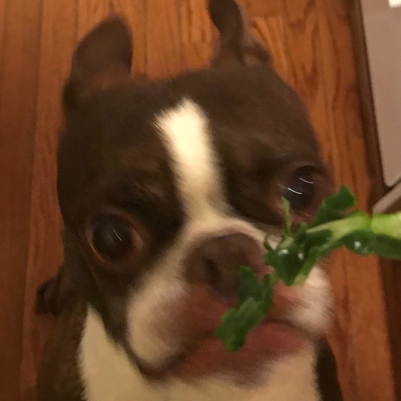 Meet your Posher, Sue - Picture 1 of 1